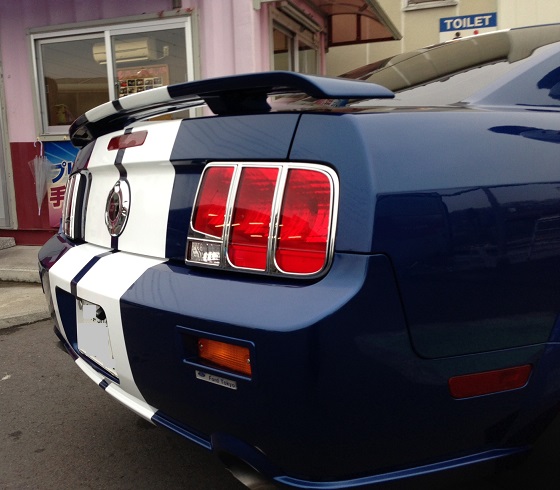 mustang6