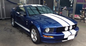 mustang8