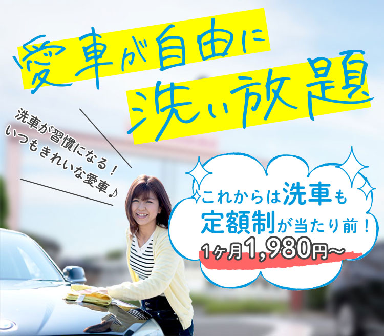 洗い放題で機械洗車が定額で使い放題 ふるーる洗車八王子本店